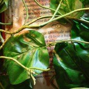 La parola occultata N° 2 particolare